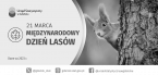 21 marca - Międzynarodowy Dzień Lasów Foto