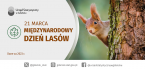 21 marca - Międzynarodowy Dzień Lasów Foto