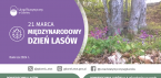 21 marca - Międzynarodowy Dzień Lasów Foto