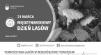 21 marca - Międzynarodowy Dzień Lasów Foto