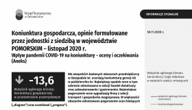 Koniunktura gospodarcza w listopadzie 2020 r.- pierwsza strona dokumentu