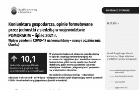 Koniunktura gospodarcza w lipcu 2021 r. - pierwsza strona opracowania