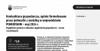 Koniunktura gospodarcza, opinie formułowane przez jednostki z siedzibą w województwie POMORSKIM – maj 2024 r. Foto