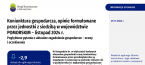 Koniunktura gospodarcza, opinie formułowane przez jednostki z siedzibą w województwie POMORSKIM – listopad 2024 r. Foto
