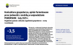Koniunktura gospodarcza, opinie formułowane przez jednostki z siedzibą w województwie POMORSKIM – luty 2025 r. Foto