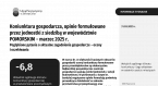 Koniunktura gospodarcza, opinie formułowane przez jednostki z siedzibą w województwie POMORSKIM – marzec 2025 r. Foto