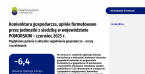 Koniunktura gospodarcza, opinie formułowane przez jednostki z siedzibą w województwie POMORSKIM – czerwiec 2025 r. Foto