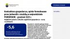 Koniunktura gospodarcza, opinie formułowane przez jednostki z siedzibą w województwie POMORSKIM – grudzień 2025 r. Foto