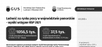 Ludność na rynku pracy w województwie pomorskim - wyniki wstępne NSP 2021 Foto