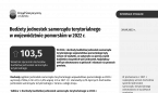 Budżety jednostek samorządu terytorialnego w województwie pomorskim w 2022 r. Foto