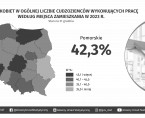 Cudzoziemcy wykonujący pracę w Polsce w 2023 r. Foto