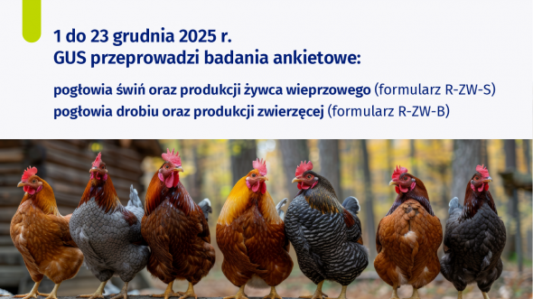 Informacja o badaniu pogłowia świń oraz produkcja żywca wieprzowego i badaniu poglowia drobiu oraz produkcji zwierzęcej