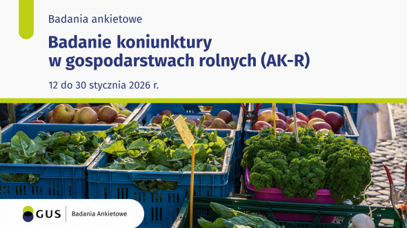 U góry nazwa badania., termin przeprowadzenia badania, poniżej na zdjęciu w skrzynkach rozłożone owoce, warzywa.
